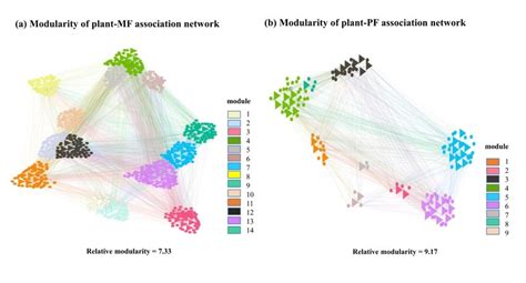 Network modularity of plant-mycorrhizal fungus (plant-MF, a) and ...