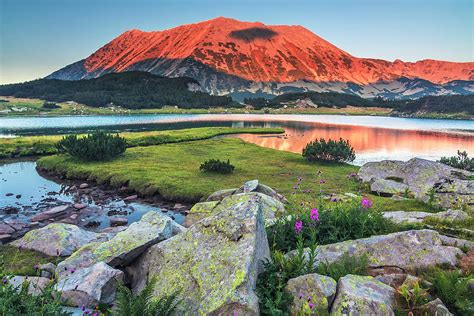 Colors Of Pirin Mountain Photograph by Cavan Images - Fine Art America