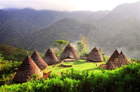 Nama Rumah Adat Papua Barat