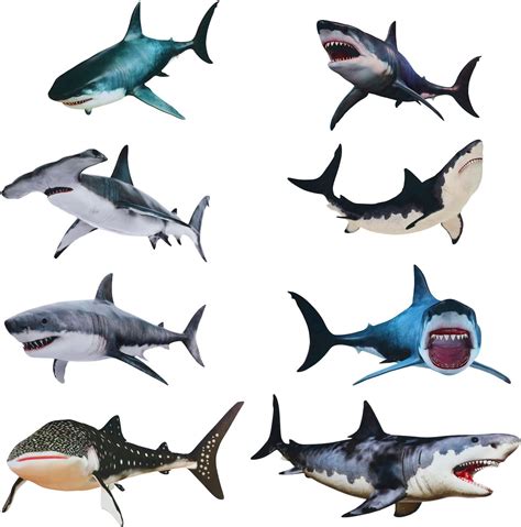 Amazon.com: 8 Pieces of Sharks Stickers Shark Peel and Stick Wall ...