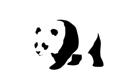 Download Animal Panda HD Wallpaper