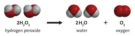 Divine Equation For Hydrogen Peroxide Balanced Equations Photosynthesis And Cellular Respiration