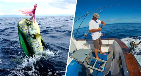 6 Deep Sea Fishing Tips for Beginners: Charting, Bait and More | Pelican