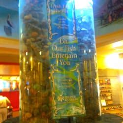 The Pier Aquarium - CLOSED - Aquariums - St. Petersburg, FL - Yelp