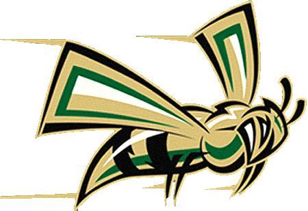 Sac State Hornets http://content.sportslogos.net/logos/30/629/full/2lirgc7ol915348bncks ...