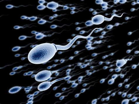 Infertile men 'could grow new sperm from skin cells' | The Independent | The Independent