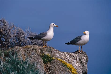 Tuscan Archipelago National Park