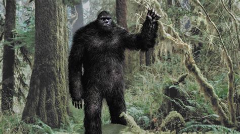 Bigfoot Wallpapers - Top Free Bigfoot Backgrounds - WallpaperAccess