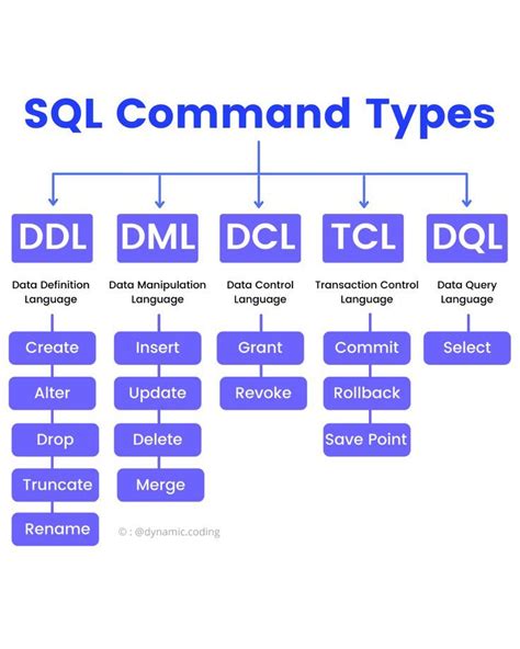 Types Of SQL Commands | Sql commands, Basic computer programming, Learn ...