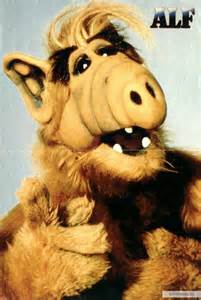 Alf - Alf Photo (22318720) - Fanpop