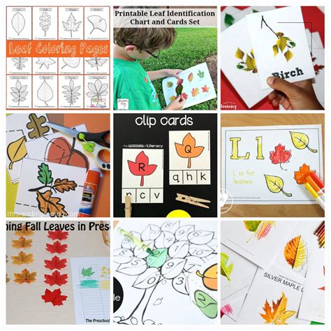 Printable Autumn Leaves Activities for Toddlers and Preschoolers