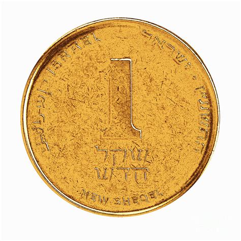 One New Israeli Shekel coin 10 Photograph by H - Pixels