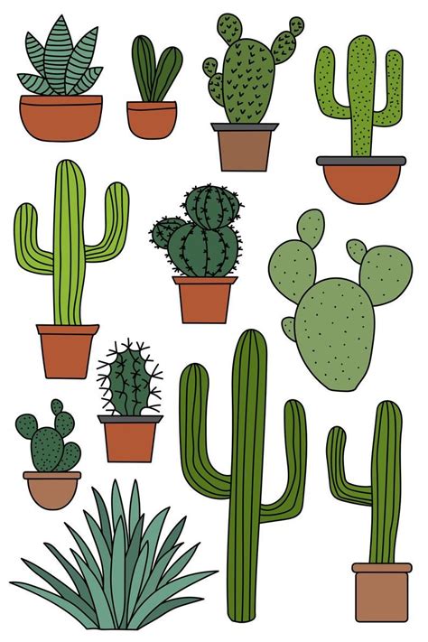 Cactus Clipart Set, Hand Drawn Clip Art Illustrations of Desert Cacti ...