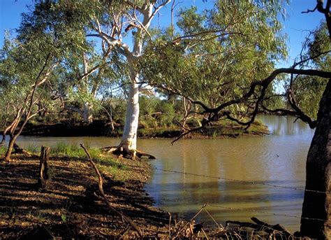 Camooweal Caves National Park | Parks and forests | Department of ...