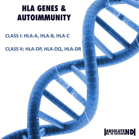 Genetic Susceptibilities of Autoimmune Disease | Dr Johann de Chickera ND