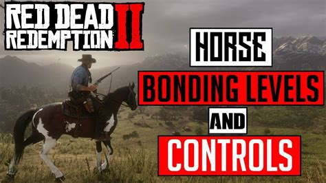 Red Dead Redemption 2 Horse Bonding Levels and Controls - YouTube