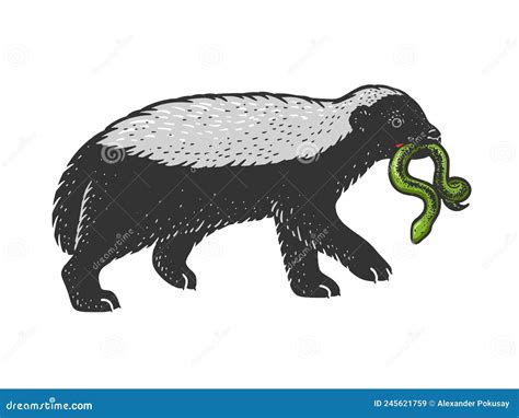 Ratel Cartoons, Illustrations & Vector Stock Images - 111 Pictures to ...