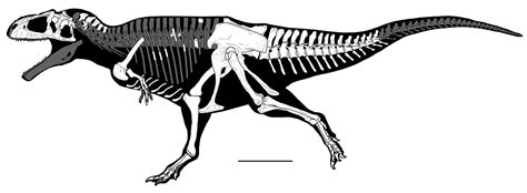 [Paleontology • 2022] Meraxes gigas • New Giant Carnivorous Dinosaur (Theropoda ...