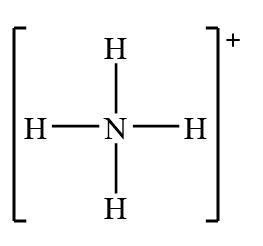 Nh4 1 Lewis Structure