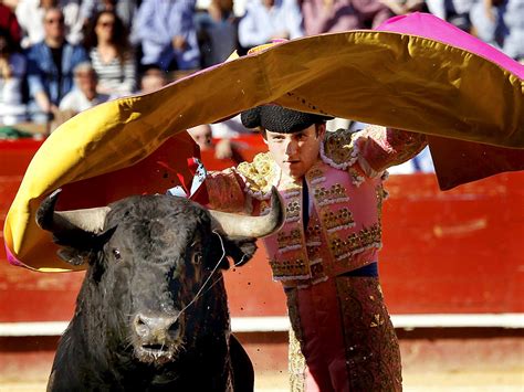 Bull Fighting: Bull Fighting In Spain