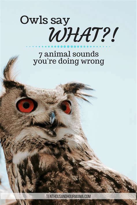 7 animal noises you've been messing up - The Ten Thousand Hour Mama