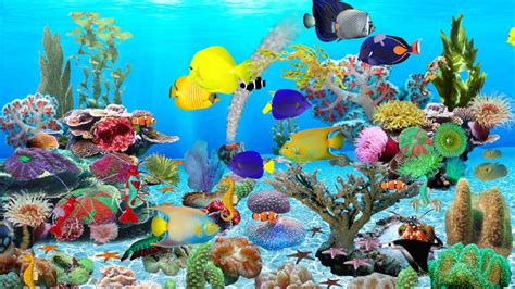 The best aquarium screensaver - acutop