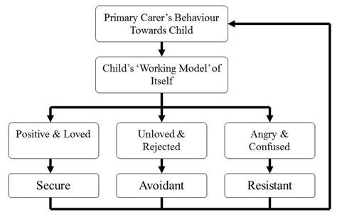 John Bowlby's Internal Working Model | Counselling Buckinghamshire