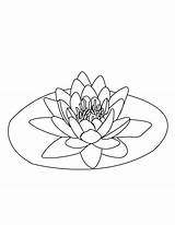 Lily coloring pages To Download And Print For Free sketch template