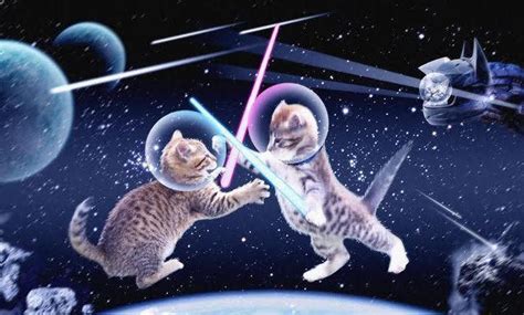 Cats in Space! Massive sci-fi battle for charity coming to SLC | News | standard.net Wish ...