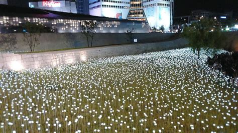 Dongdaemun Design Plaza (DDP) - garden of led roses | Wanderlust ...