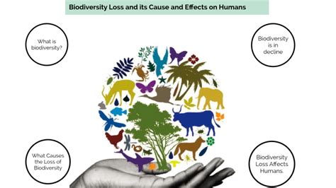 Biodiversity Loss and its Cause and Effects on Humans. by Matthew Asher on Prezi