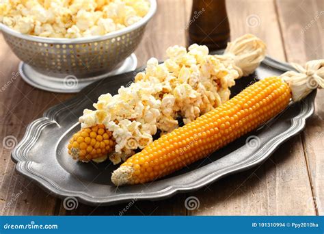 Popcorn on the cob stock photo. Image of husk, organic - 101310994