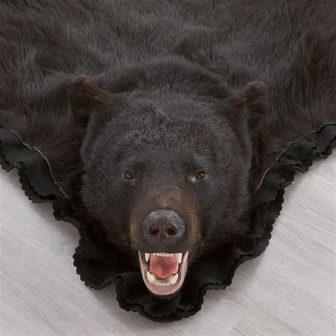 Shop for 6 Foot 9 Inch (209cm) Black Bear Rug RU1300371 at Bear Skin Rugs