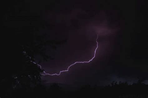 Lightning Thunder GIF - Lightning Thunder Thunder Storm - Discover ...