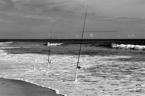 Fishing Poles Background Free Stock Photo - Public Domain Pictures