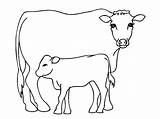A Cow And Calf coloring Page  Download Print Or Color Online For Free sketch template