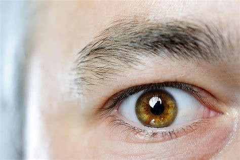 Facts about hazel eyes - Colorblindnesstest.org