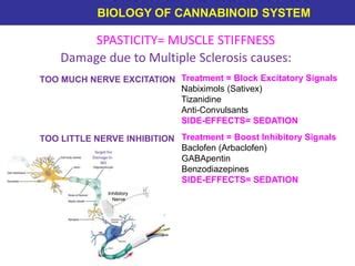 Cannabis | PPT