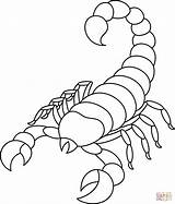 Scorpion coloring page  Free Printable Coloring Pages sketch template