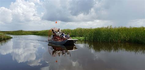 everglades airboat rides - Airboat In Everglades