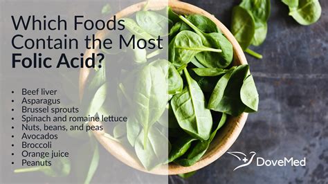 Which Foods Contain The Most Folic Acid?