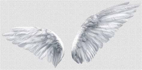 Angel Wings Overlay for Photoshop Instant Download White | Etsy