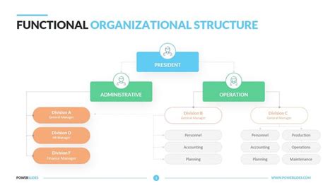 Differences between Functional vs Matrix organization structure in ...