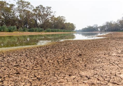 If El Niño is expected, why hasn't it yet been declared in Australia ...