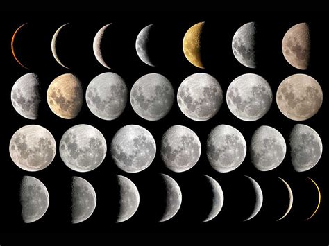 wallpaper: Moon Phases