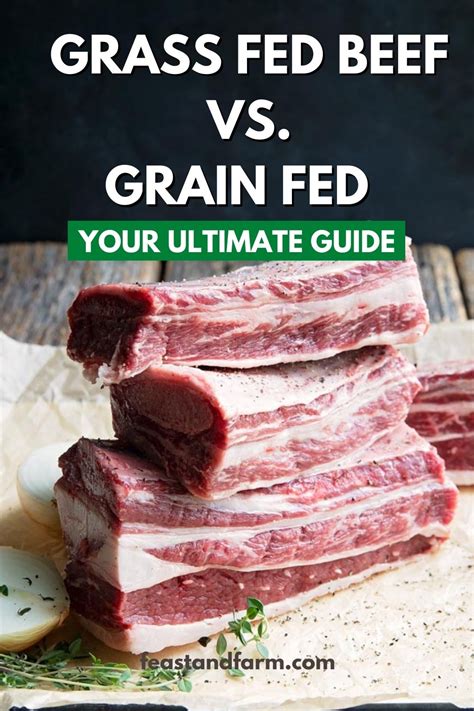 Grass fed beef vs grain fed: Your unbiased guide - Feast and Farm