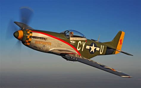 Mustang P-51D Gunfighter. | P51 mustang, Wwii fighter planes, Mustang