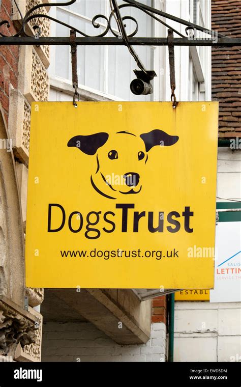 Dogs trust logo hi-res stock photography and images - Alamy