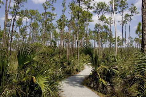 Hiking Trails - Everglades National Park (U.S. National Park Service)