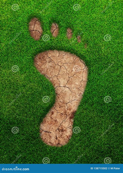 Footstep sign in the grass stock illustration. Illustration of ...